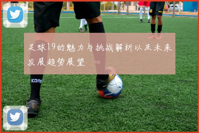 足球19的魅力与挑战解析以及未来发展趋势展望