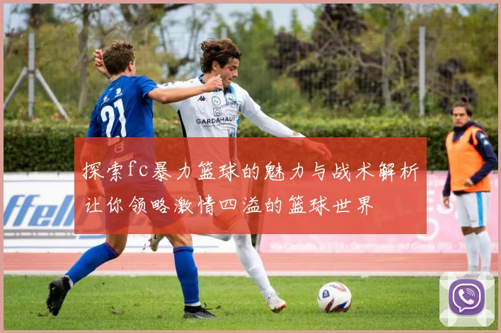 探索fc暴力篮球的魅力与战术解析让你领略激情四溢的篮球世界