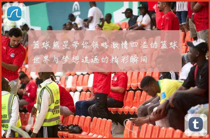 篮球熊星带你领略激情四溢的篮球世界与梦想追逐的精彩瞬间