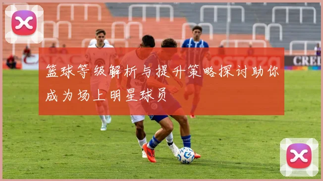 篮球等级解析与提升策略探讨助你成为场上明星球员